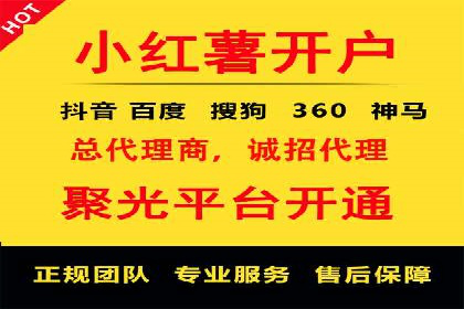 SEM专员的角色与成功案例解析